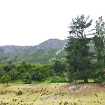 Camping Arroyo Quila Seca