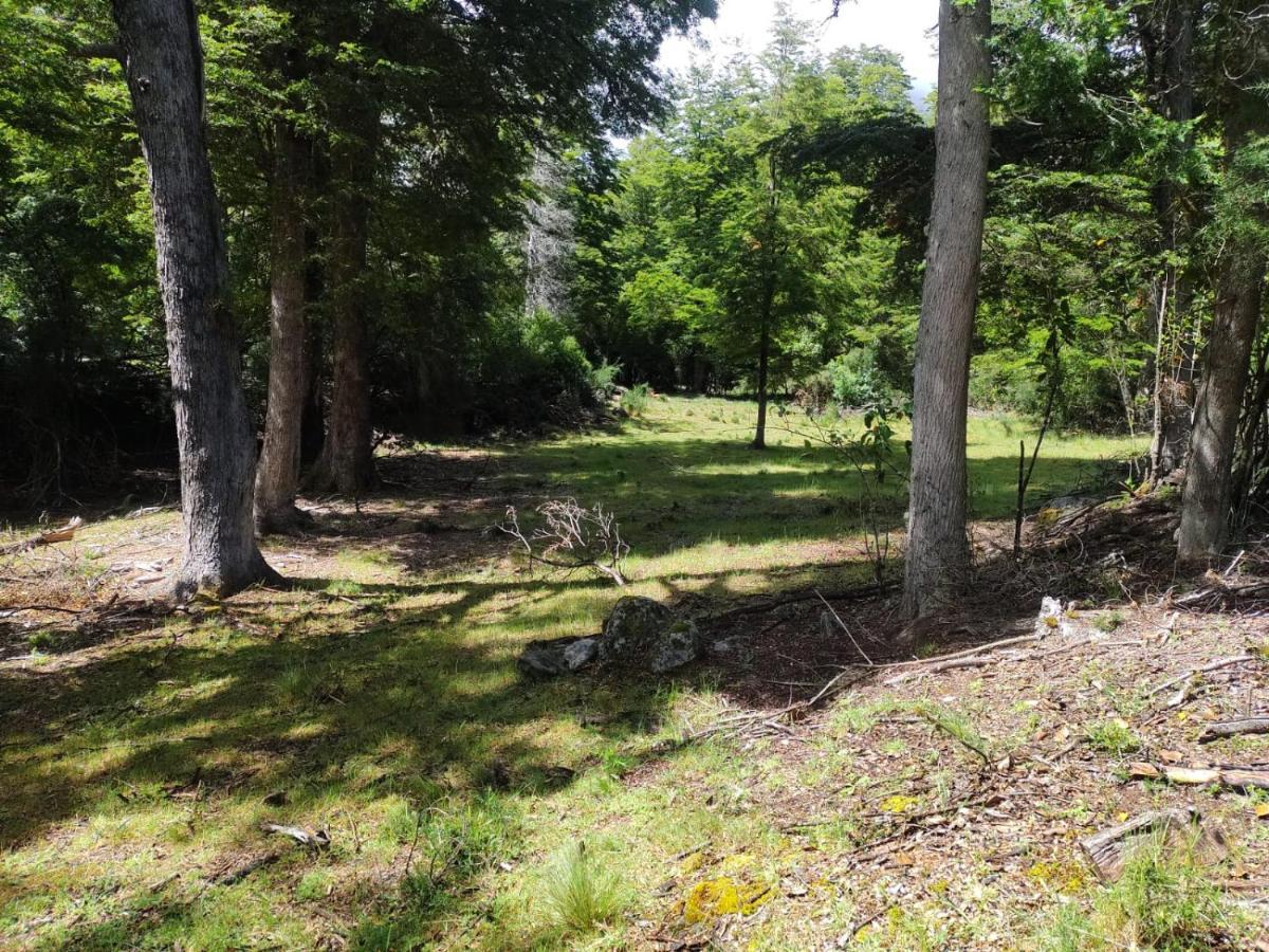 Camping Arroyo Quila Seca