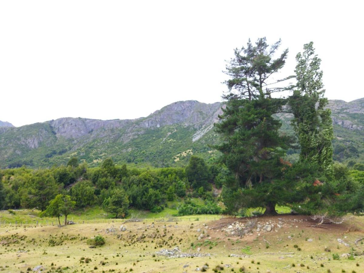 Acampamento Camping Arroyo Quila Seca Futaleufú
